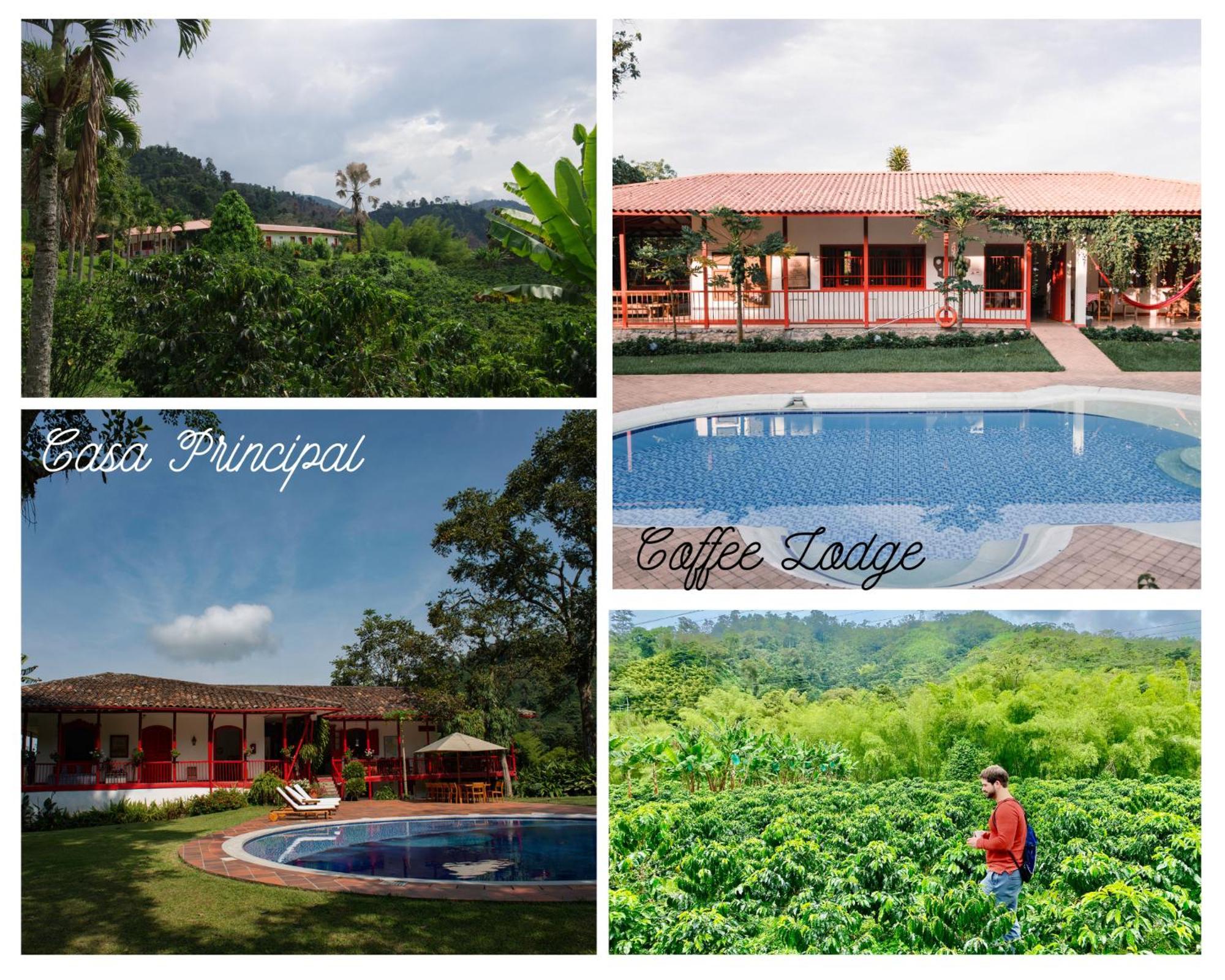 Hacienda Venecia Coffee Farm Hotel San Peregrino Экстерьер фото
